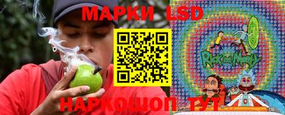 гидропоника Камышлов