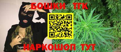 гидропоника Камышлов