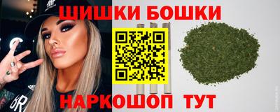 гидропоника Камышлов